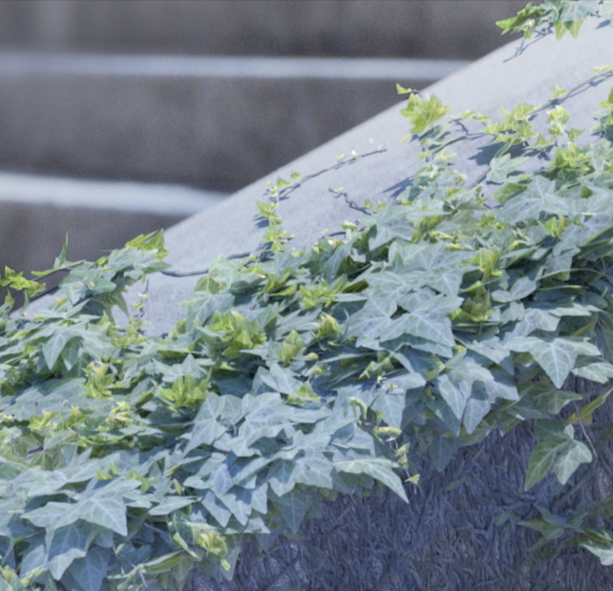 Promotional spot for HBO's El Jardín de Bronce season 2 by Feels