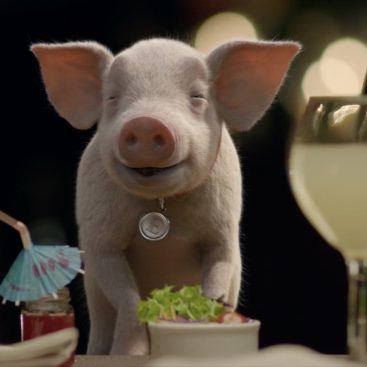 Elvis the Pig, new star of Maxus Trucks, created by Feels