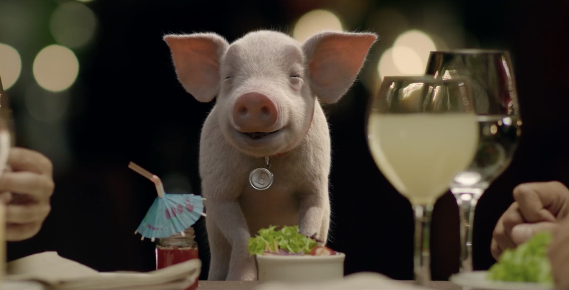 Elvis the Pig, new star of Maxus Trucks, created by Feels