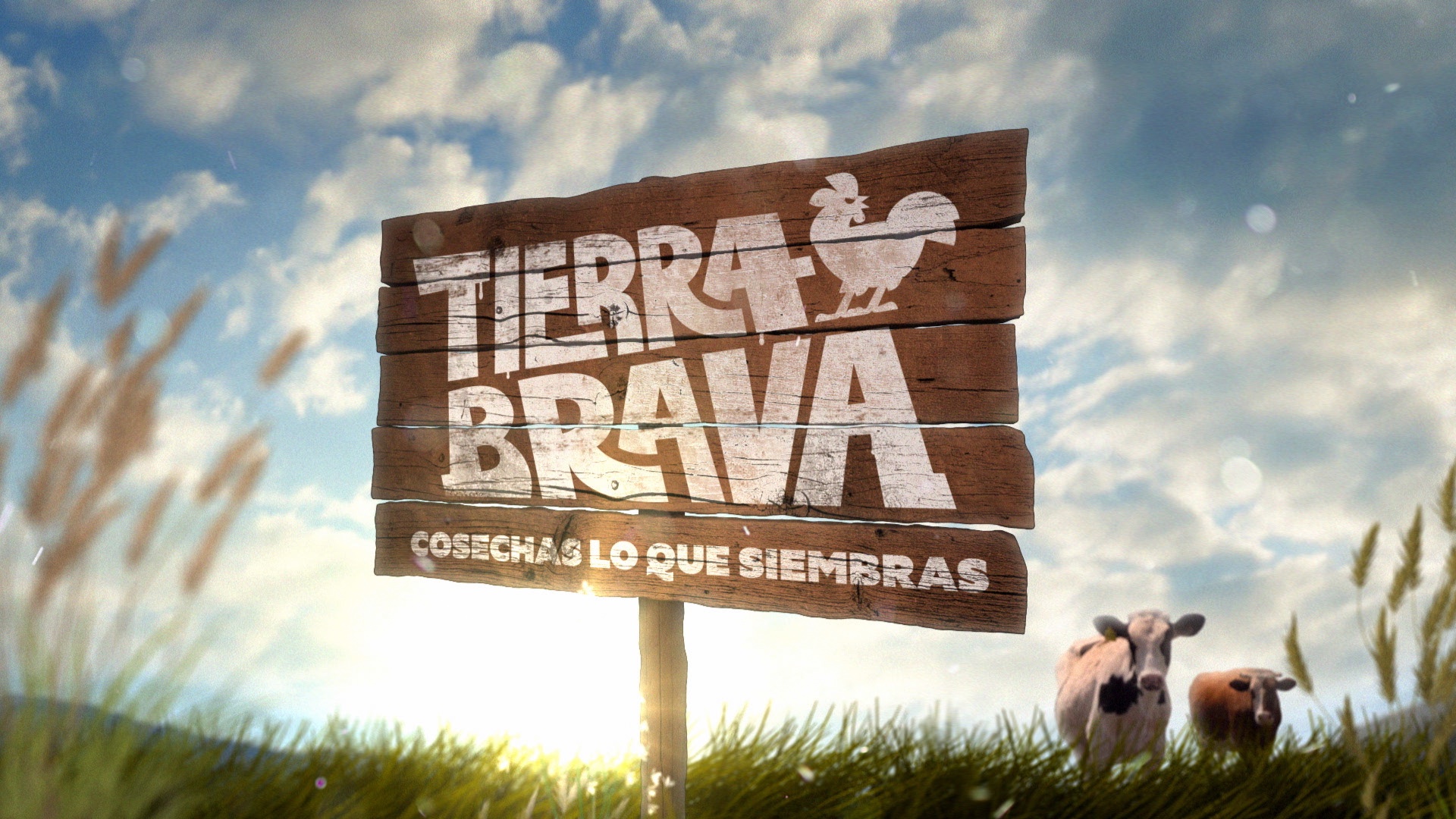 Endpage for Canal 13 reality show Tierra Brava